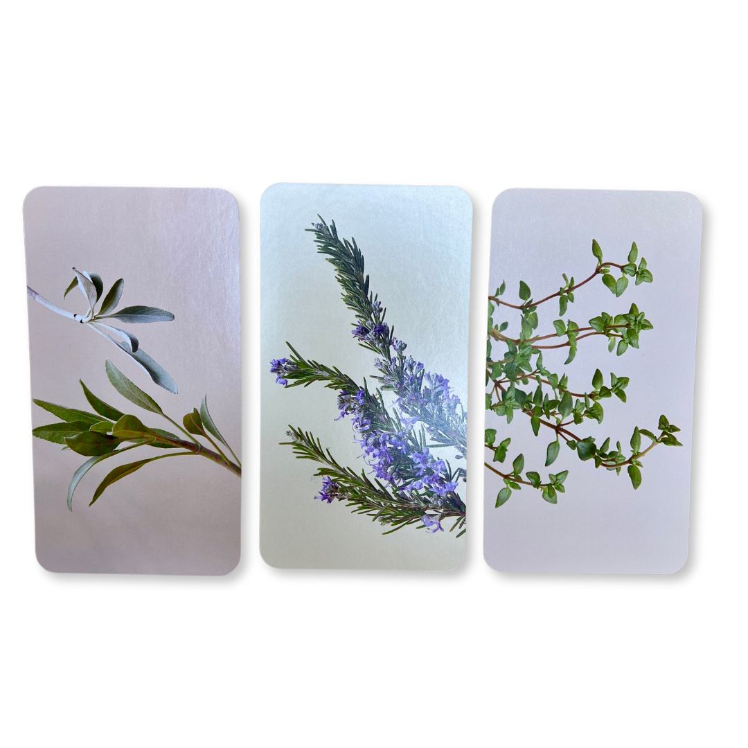 Botanicals Deck