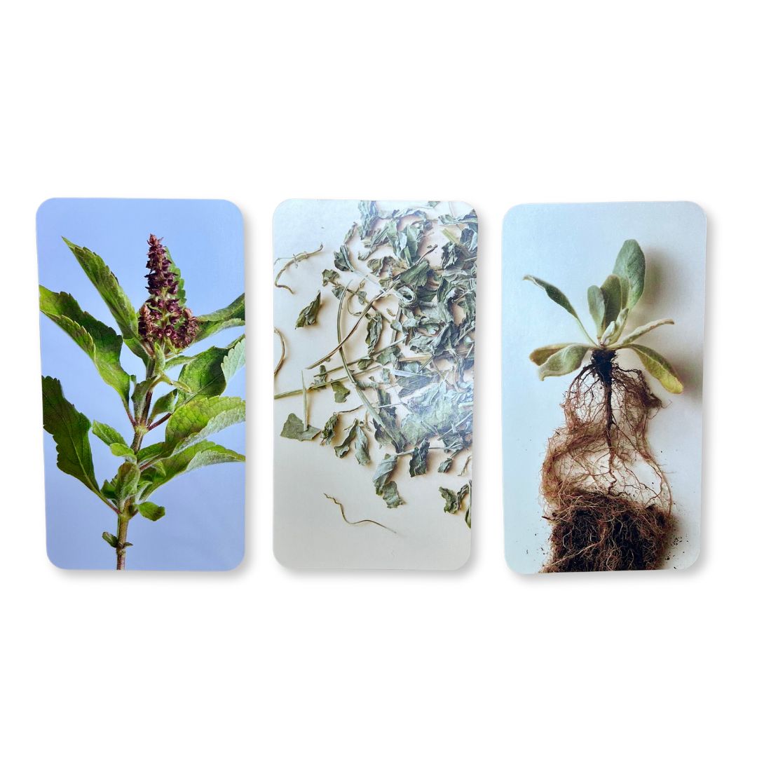 Botanicals Deck