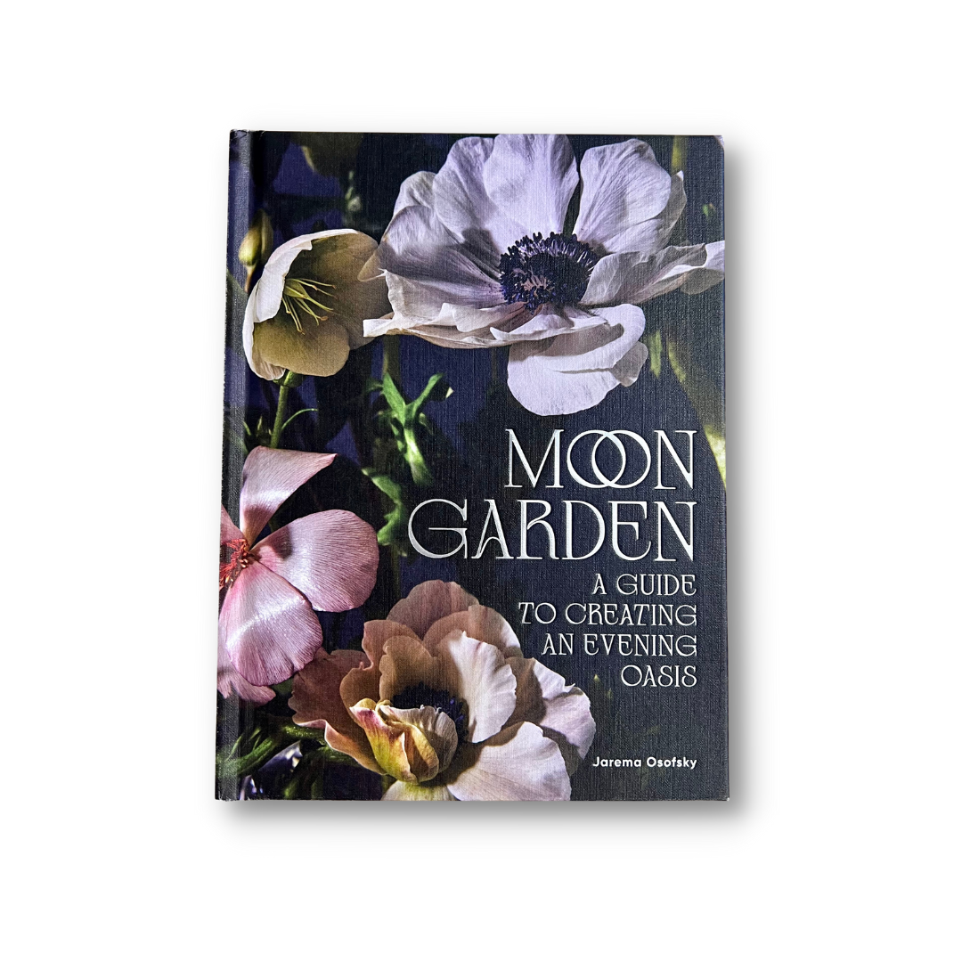 Moon Garden: A Guide to Creating an Evening Oasis