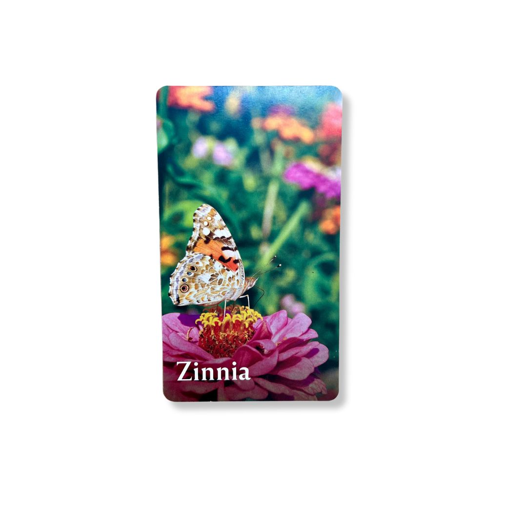 Pollinator Garden Planning Deck