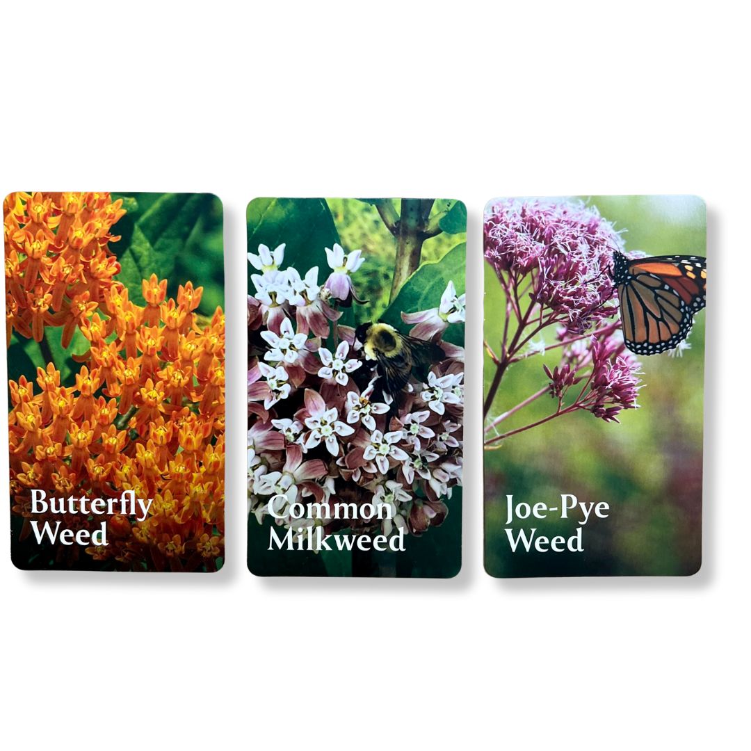 Pollinator Garden Planning Deck
