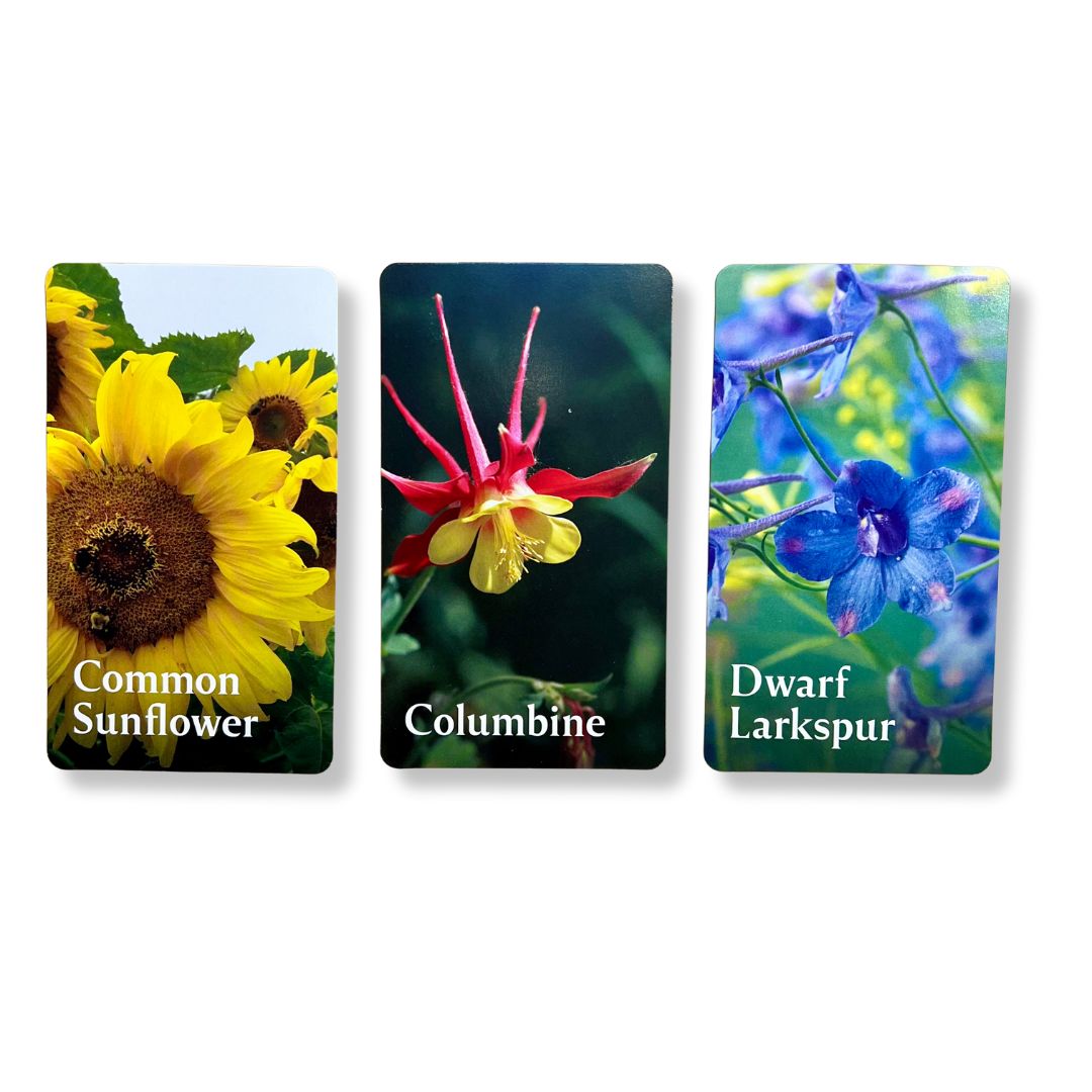 Pollinator Garden Planning Deck