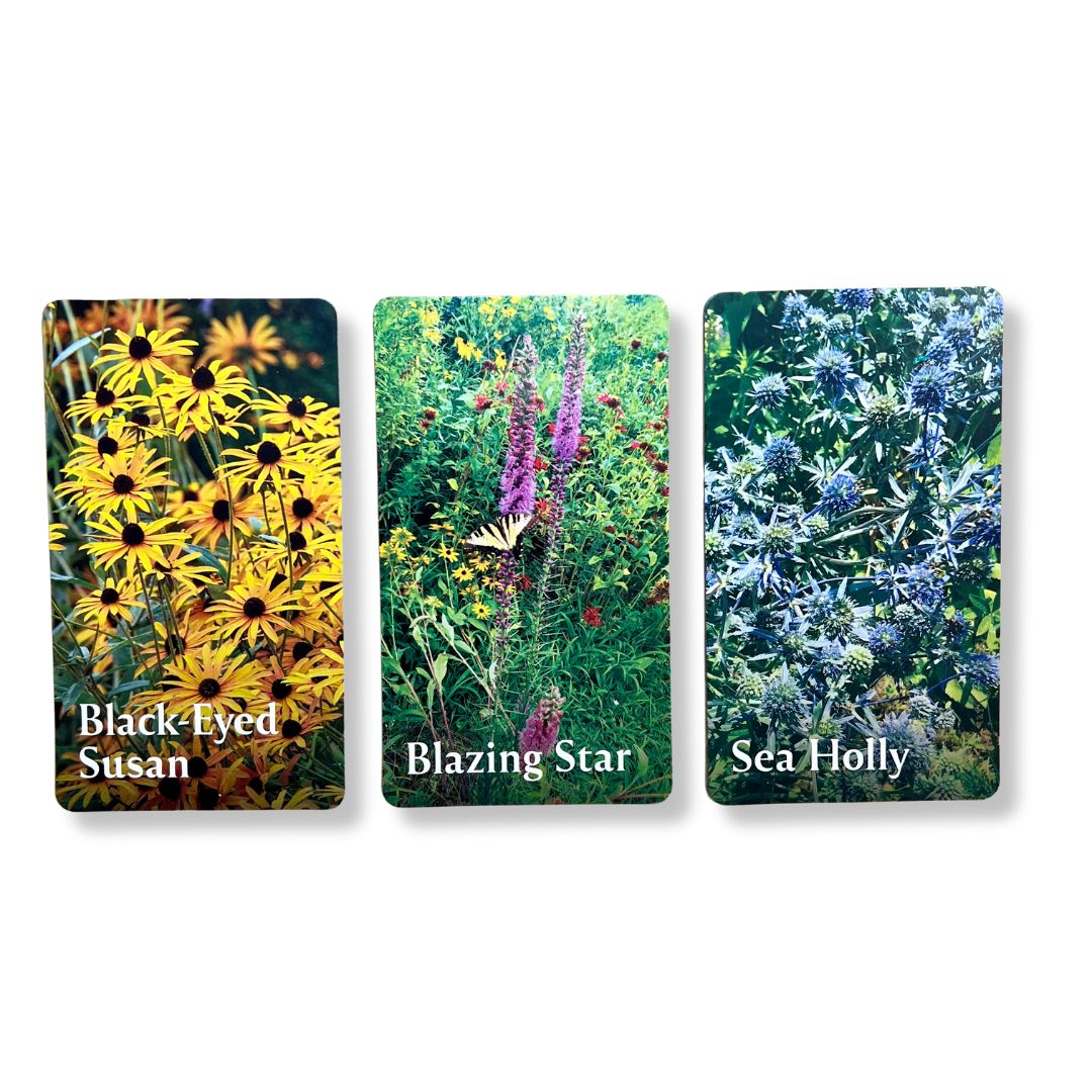 Pollinator Garden Planning Deck