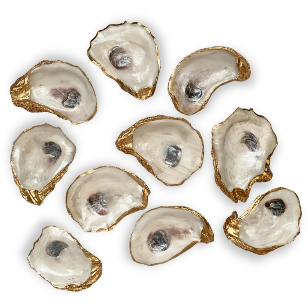 Simplicity Shell