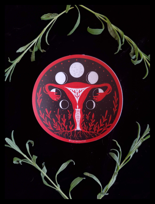 Womb Phases Vinyl Sticker