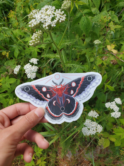 Lunar Moth Vinyl Sticker