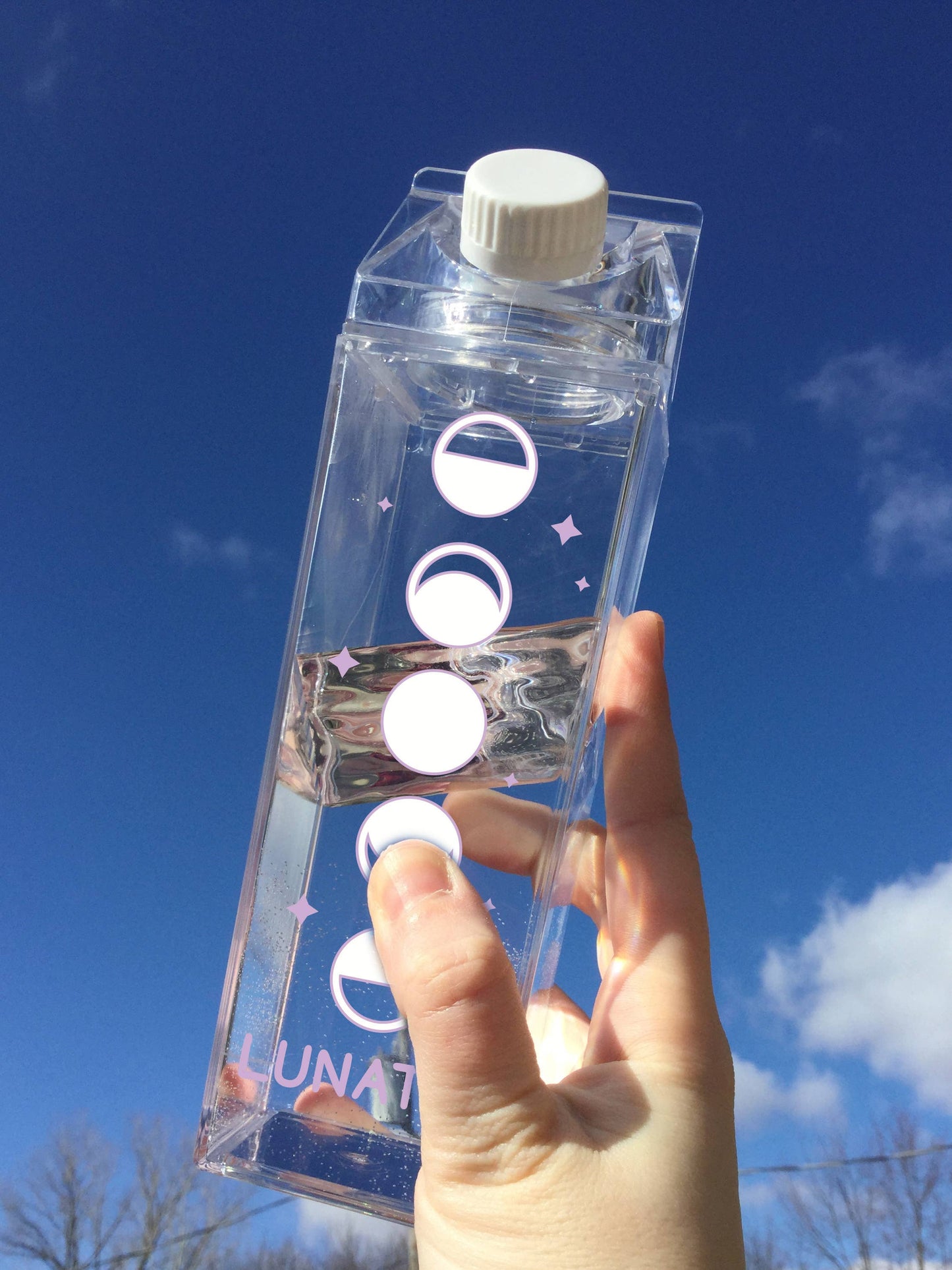 Lunatic Milk Carton Water Bottle