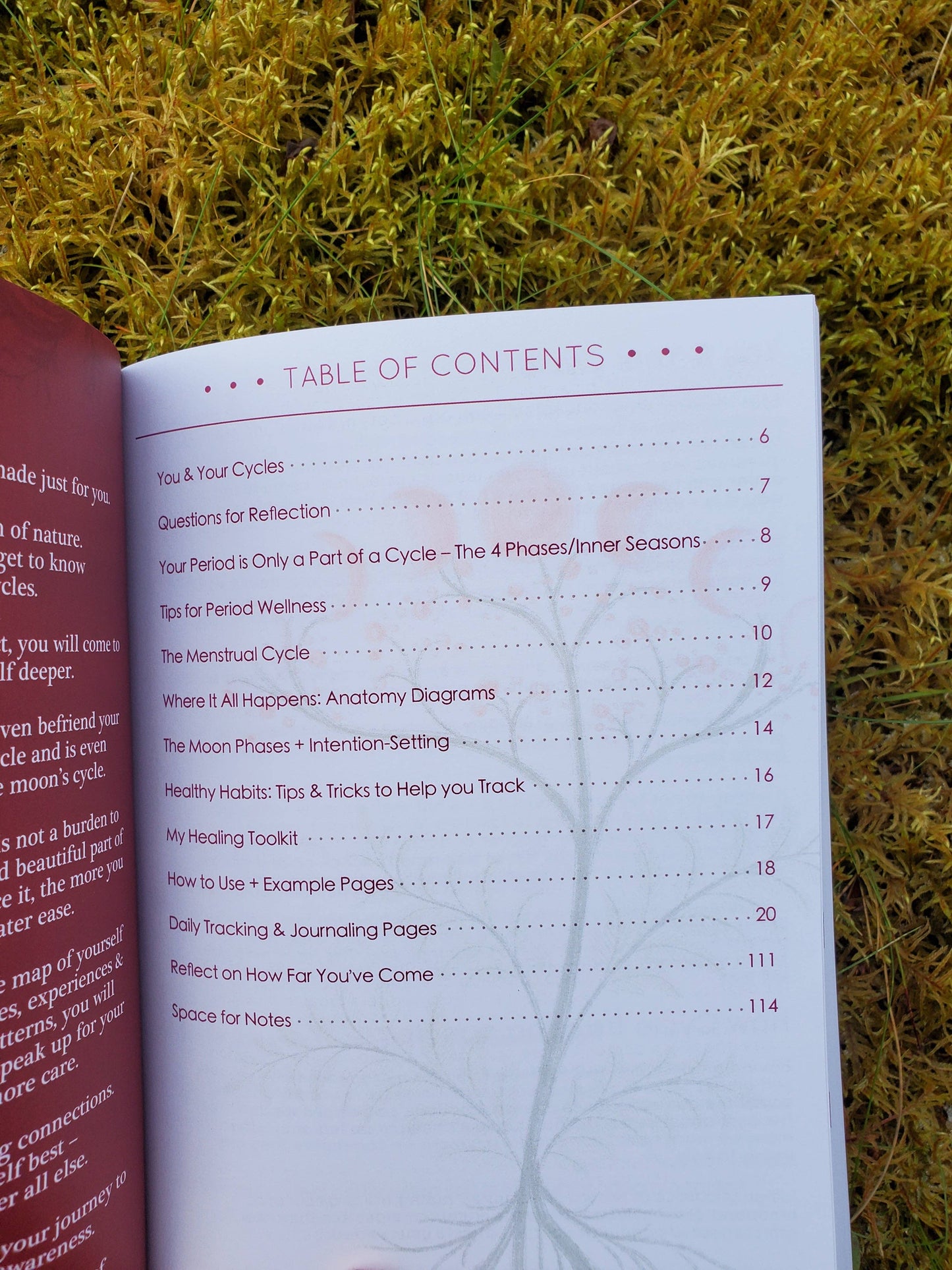 My Moon Cycles Journal: Youth Edition