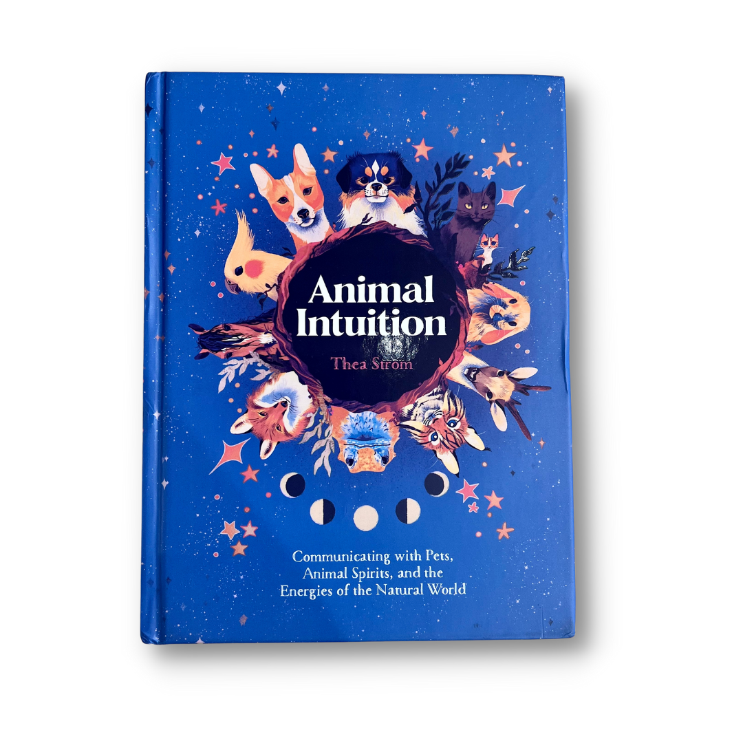 Animal Intuition