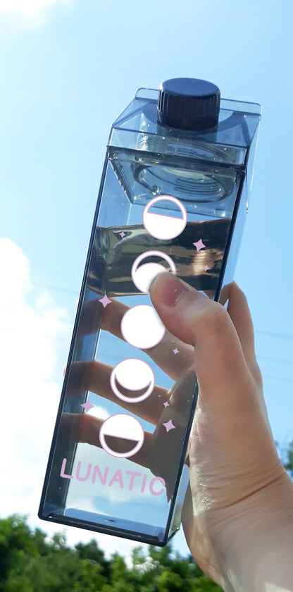 Lunatic Milk Carton Water Bottle