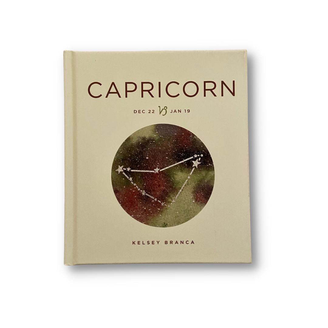 Capricorn: Zodiac Signs Series