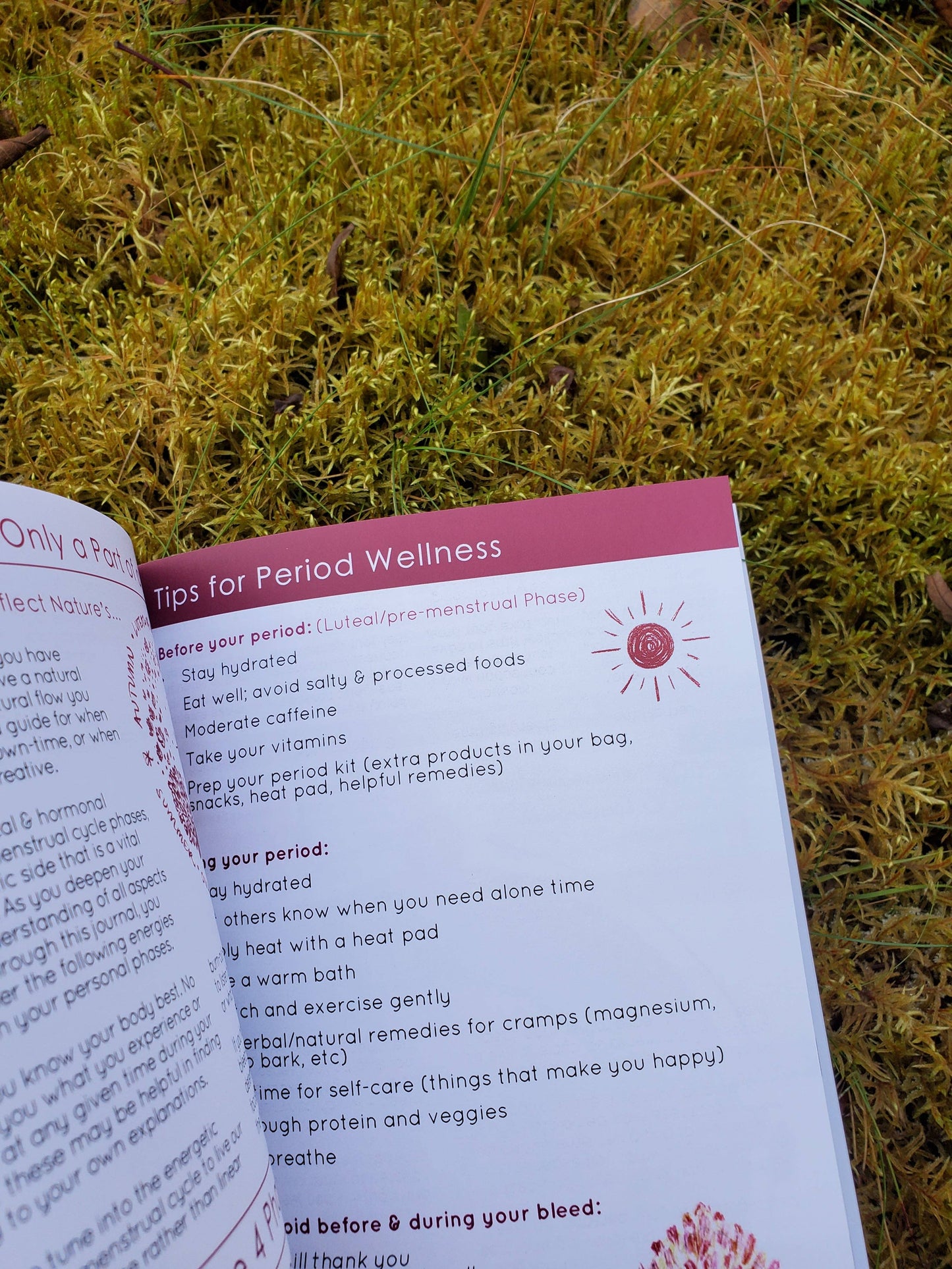 My Moon Cycles Journal: Youth Edition