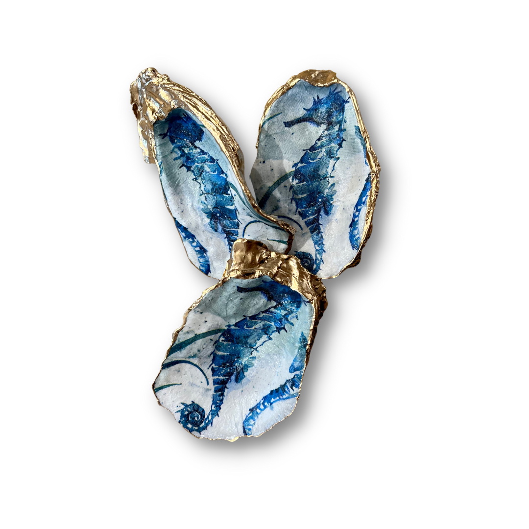 Shy Seahorse Shell – Florence Selene Tarot