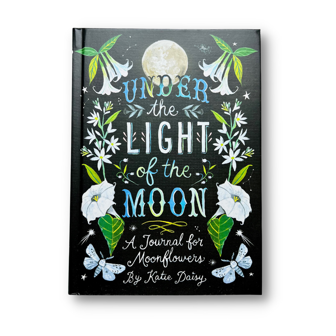 Under the Light of the Moon